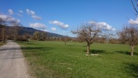 Panoramaansicht Bad Feilnbach