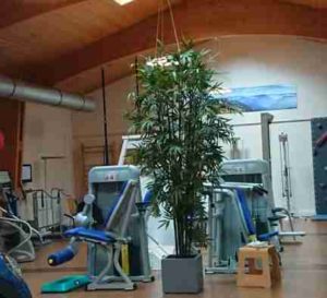 Fitnessraum in der Reha-Klinik